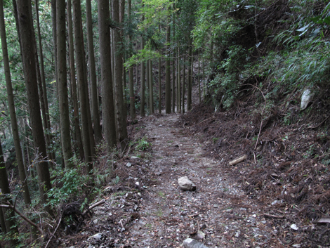 20141108hike (93)